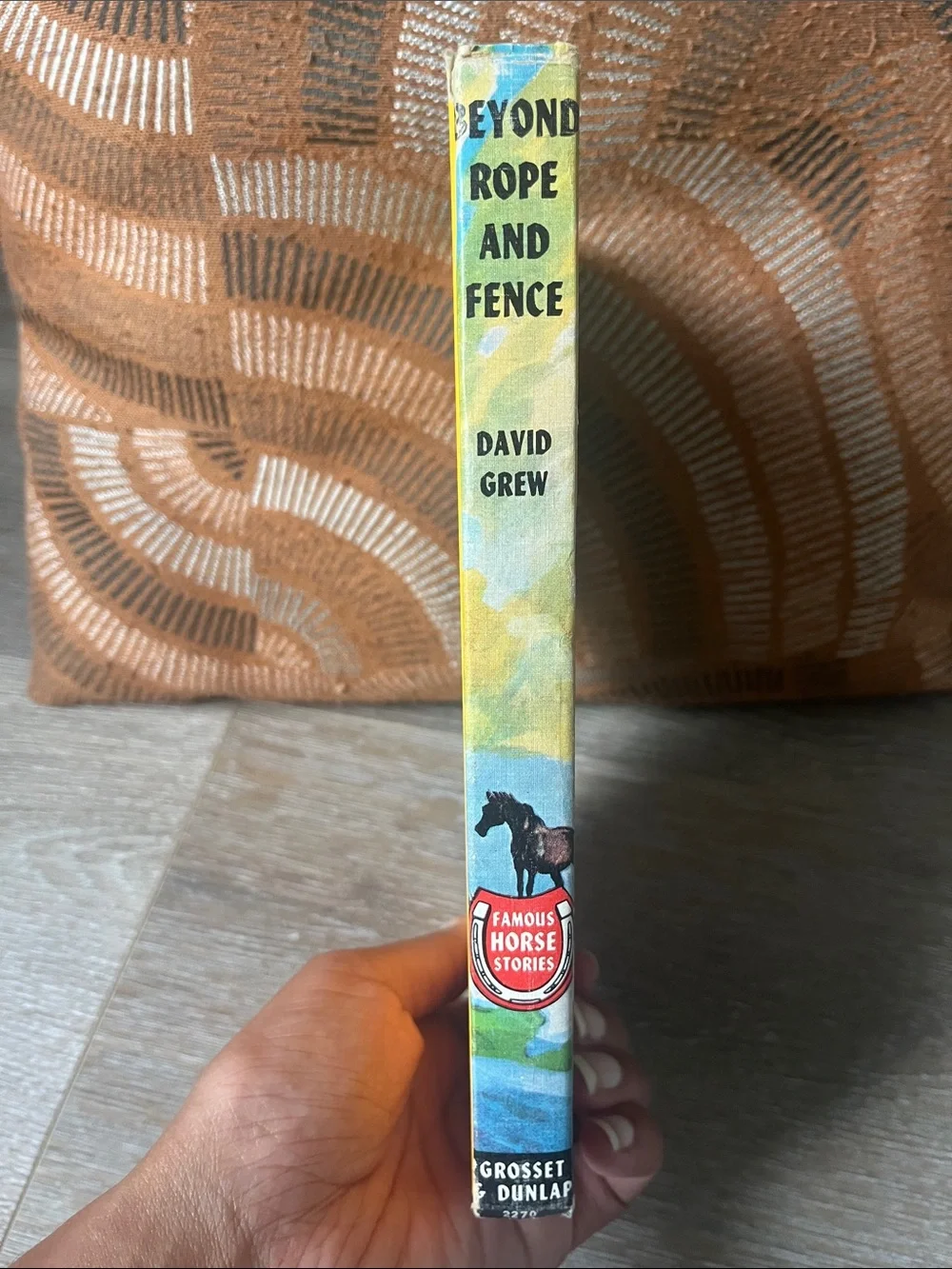 Beyond Rope and Fence by David Grew - Illustrated Blue & Tan Horse Cover 1947